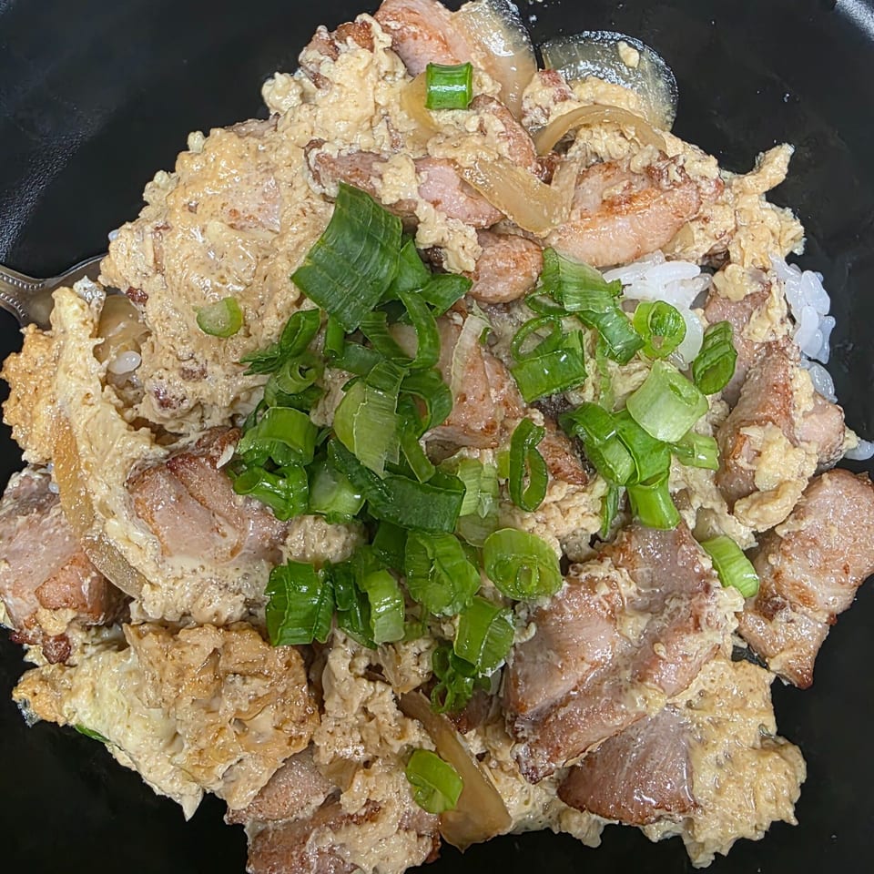 Close-up of a Japanese Oyakodon dish with chicken, egg, onions, and scallions over rice.